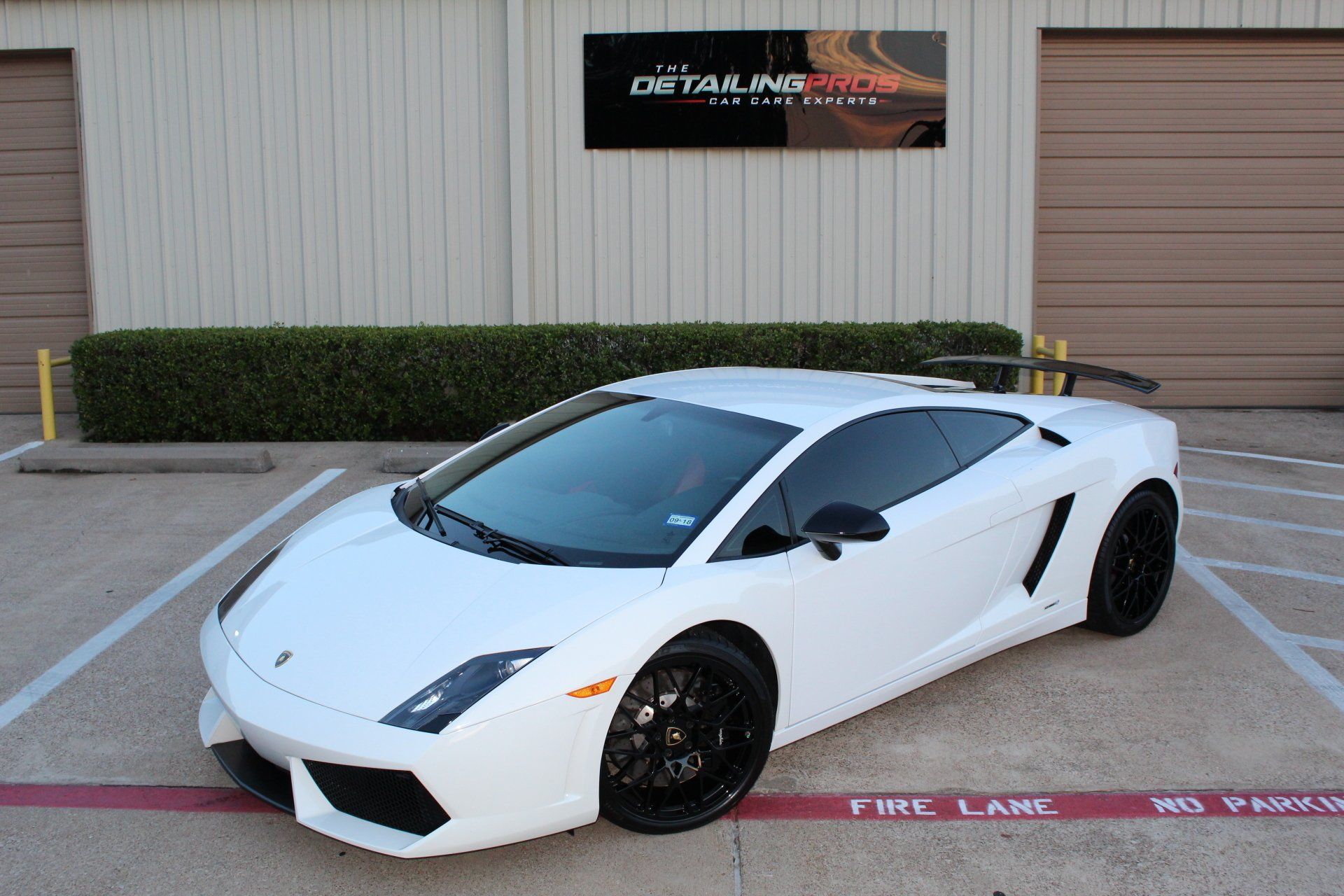 The Detailing Pros project