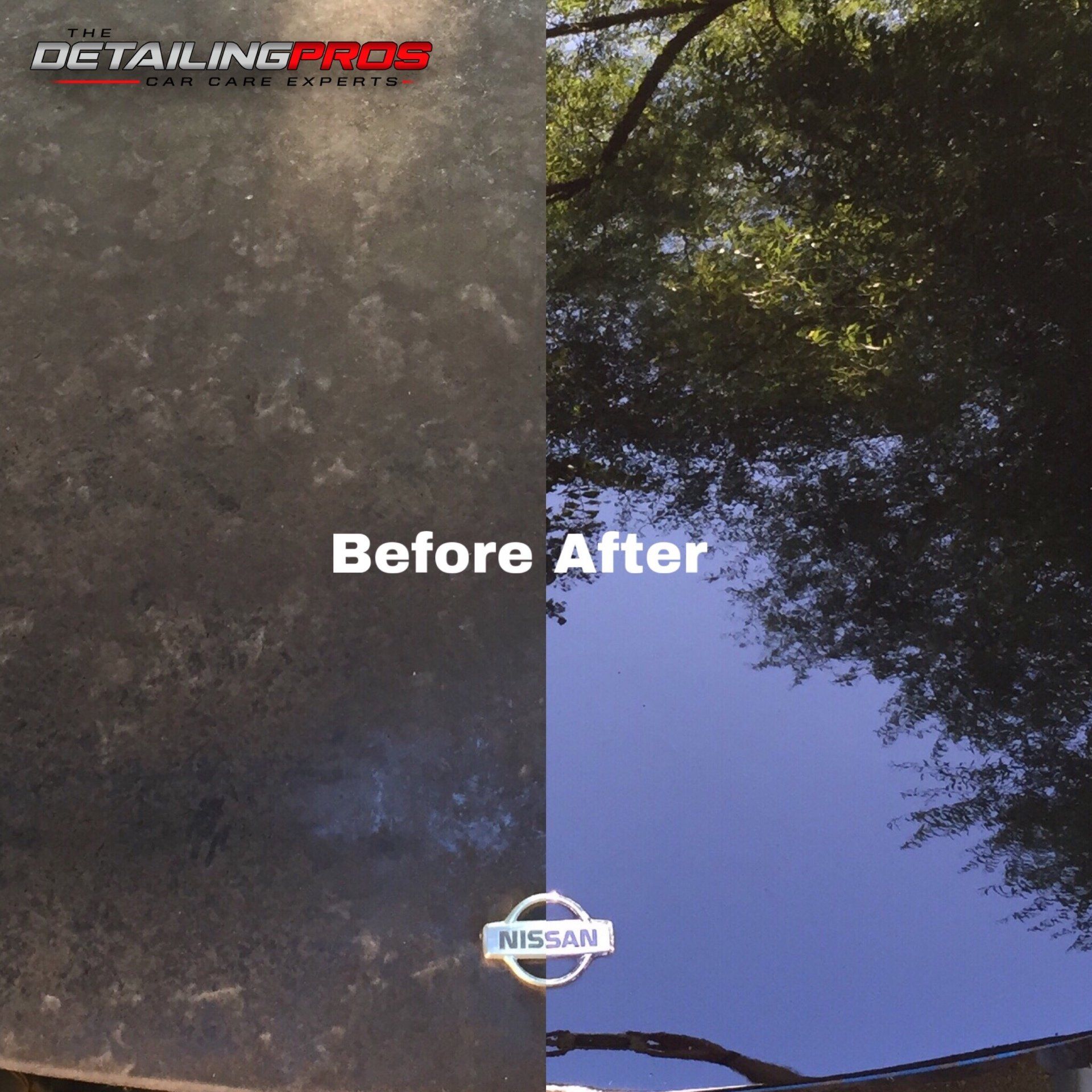 The Detailing Pros project