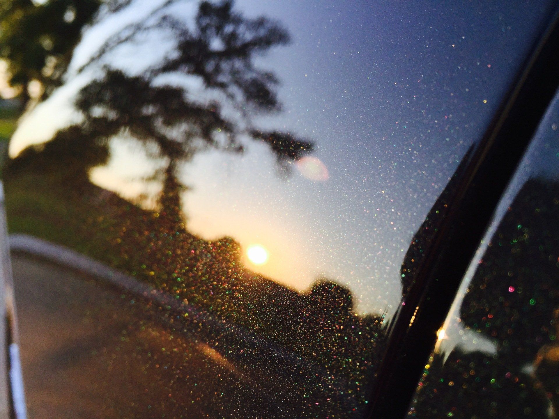 The Detailing Pros project