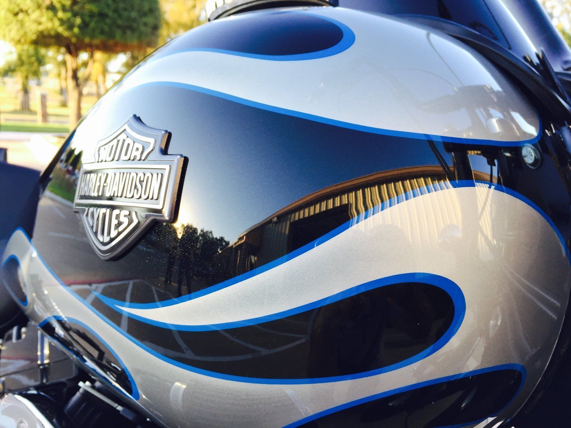 Paint coating service