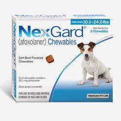 NexGard chewables product