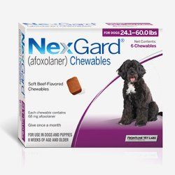 NexGard chewables product