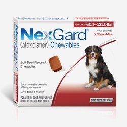NexGard chewables product
