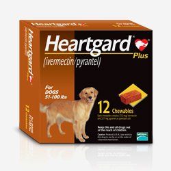 Heartgard Plus poduct