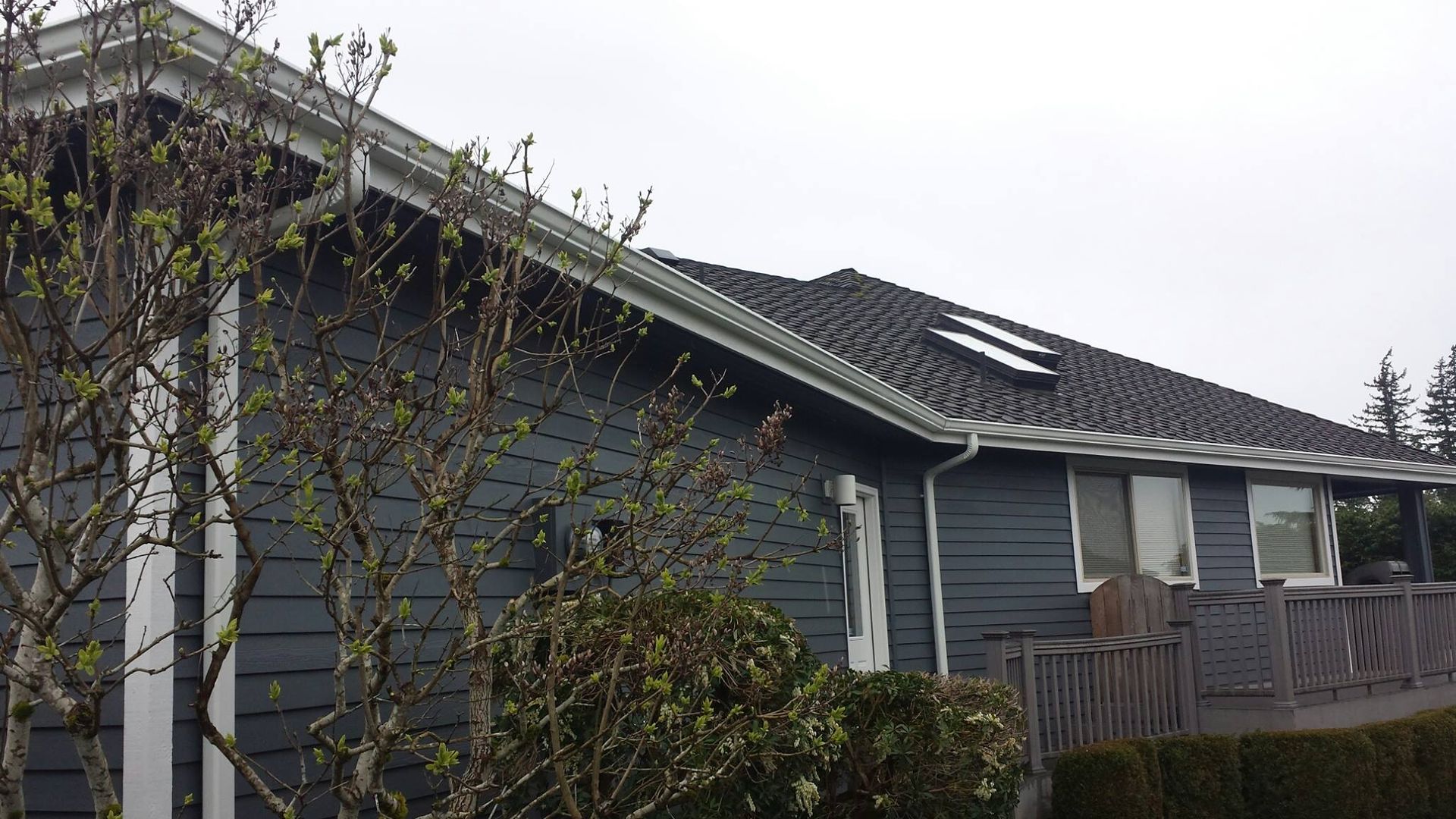 Suburban house with gray siding, dark roof, and a vine-covered tree in the foreground