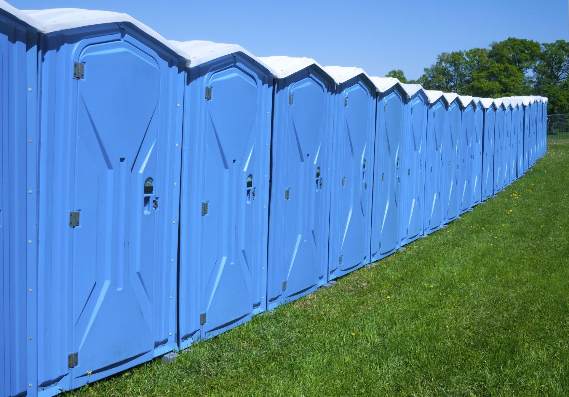 Row of blue portable toilets on green grass under a clear blue sky.