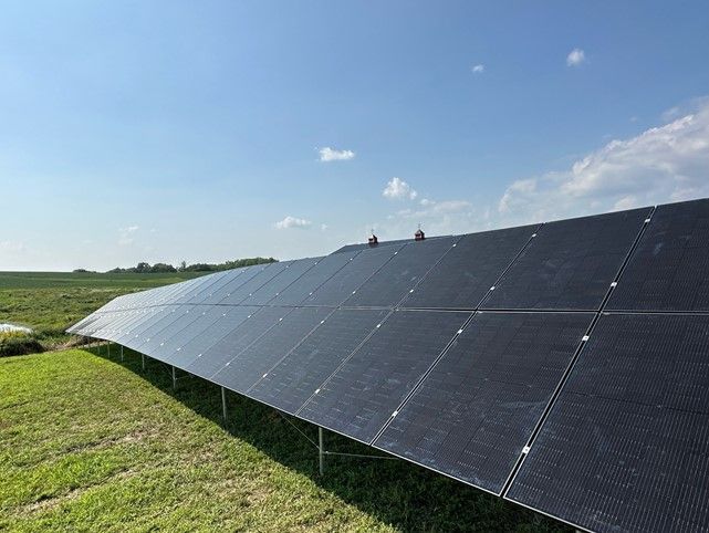 A row of solar panels sitting on top of a lush green field