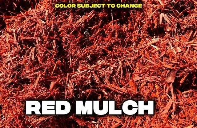 Red mulch, close-up. Bright red shredded wood chips. Text at bottom reads