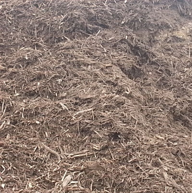 Fuel Wood