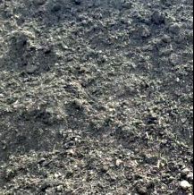 Grade B Compost