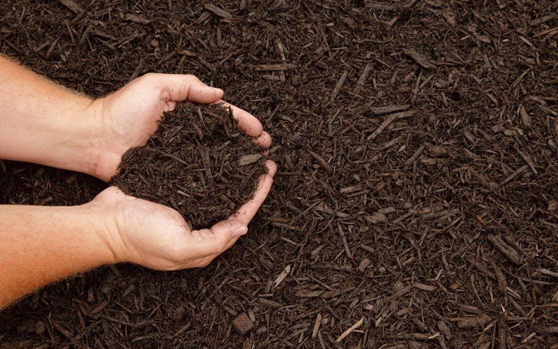 Mulch