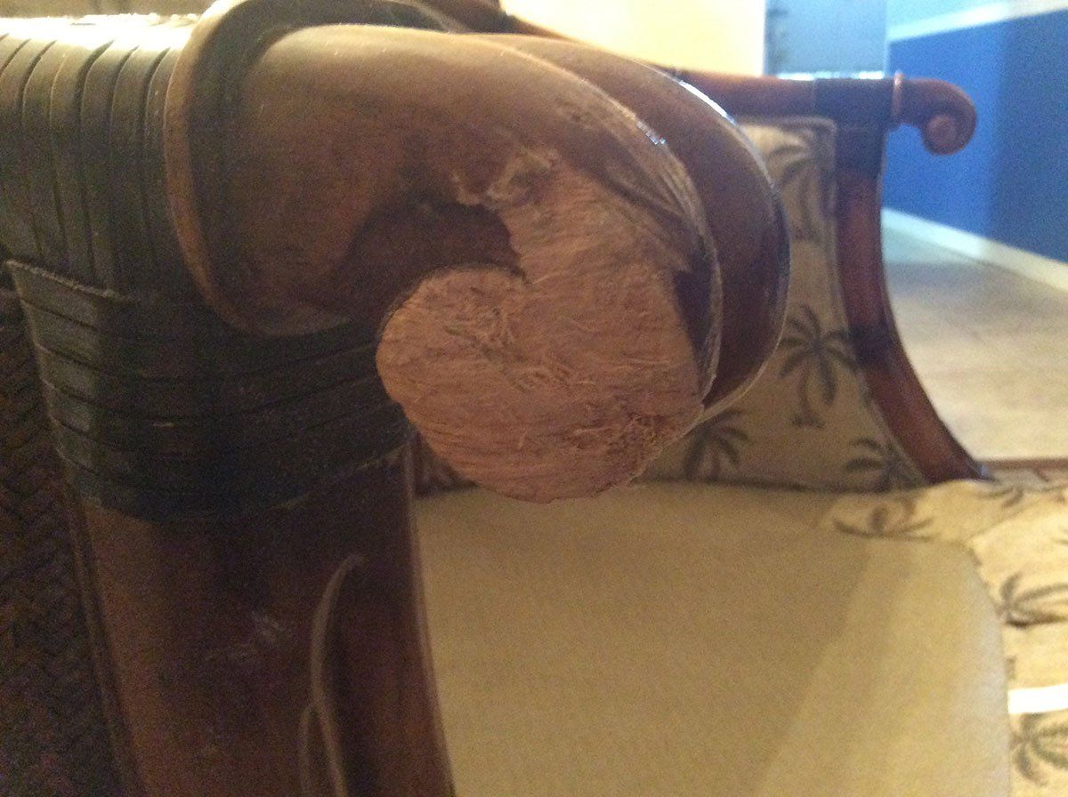 Before Wood Touch Up Repairs