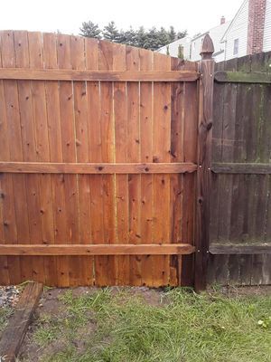 Wooden fence half stained, half weathered and green.