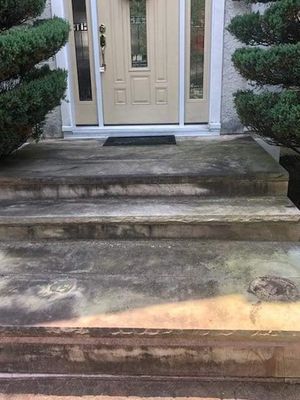 Concrete steps leading up to a beige front door with flanking green shrubs; steps show discoloration.