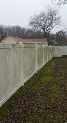 White vinyl fence covered in green mold, in a yard with brown leaves and bare trees.