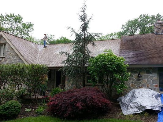 Person on roof pressure washing it; house with stone exterior and overgrown landscaping.