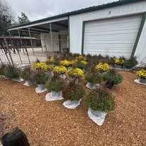 Potted yellow and purple flowers displayed in front of a white metal building on gravel.