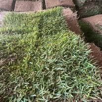 Stacked green grass sod rolls with brown soil edges, viewed close-up on the ground.