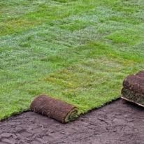 Rolled turf sod laid over bare soil, creating a green lawn edge