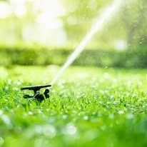 A small black toy airplane in wet green grass, spraying water in a garden.