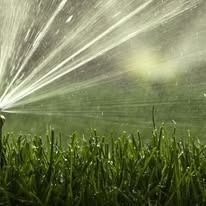 Sprinkler spraying water over green grass in a sunlit field
