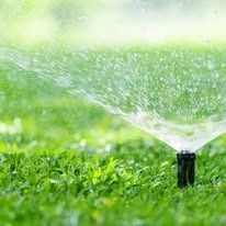 Lawn sprinkler spraying water over green grass on a sunny day