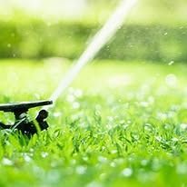 Sprinkler watering bright green grass in a sunlit garden