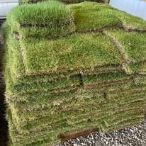 Stacked rolls of green grass sod on a pallet outdoors
