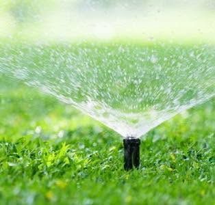 Lawn sprinkler spraying water over green grass in bright daylight