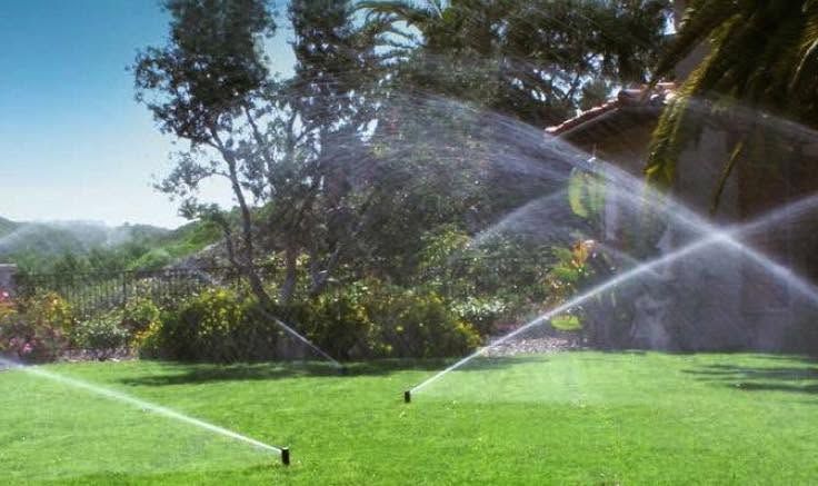 Lawn sprinklers spraying water across a bright green yard with trees and a house in the background