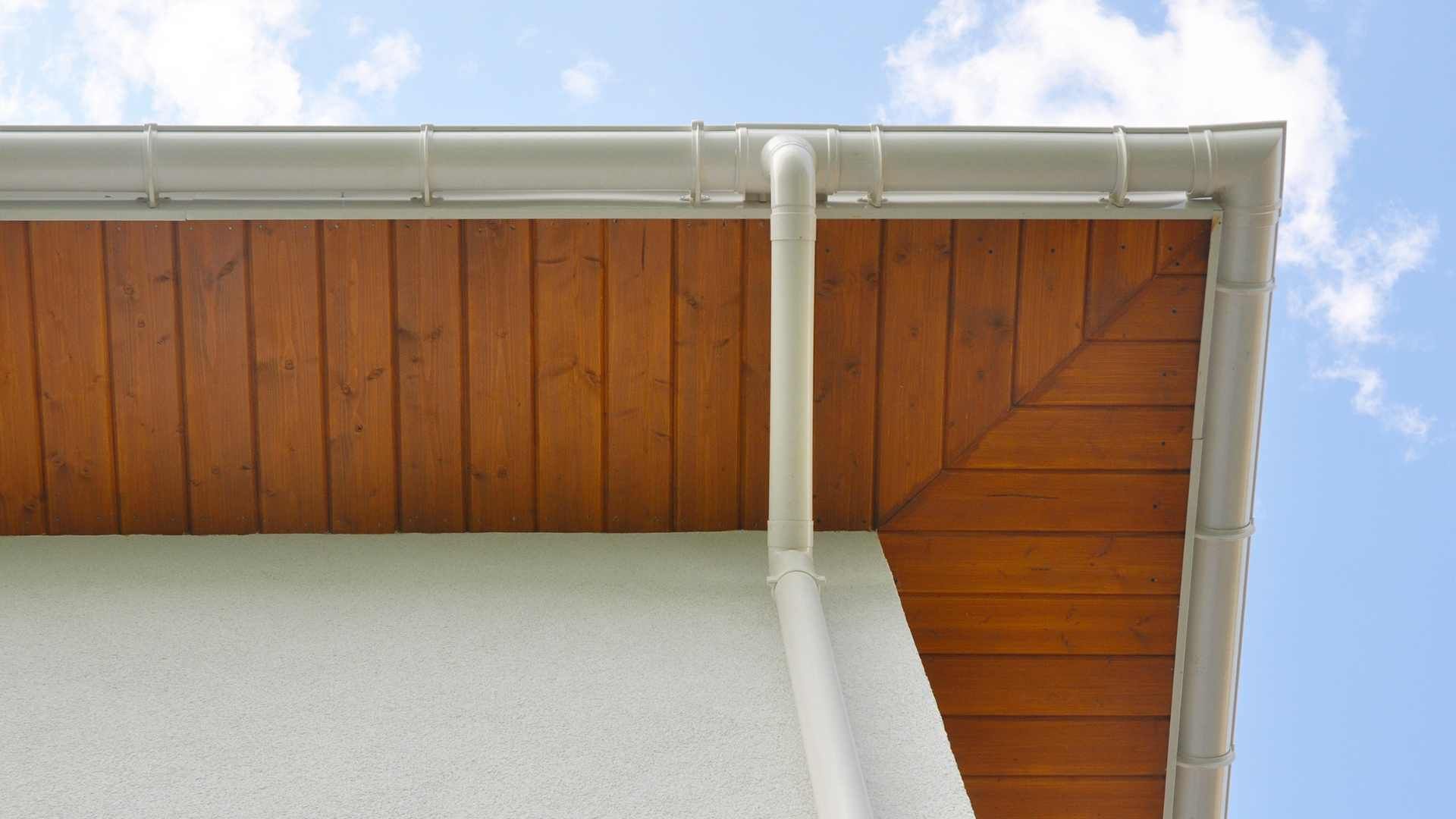 Fascia and soffit