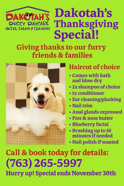Dakota's dog grooming Thanksgiving special: dog in a bathtub with included services. Ends Nov 30th.