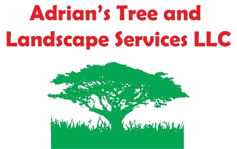 Adrian's Tree and Landscape Services LLC Logo