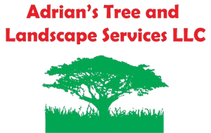 Adrian's Tree and Landscape Services LLC Logo