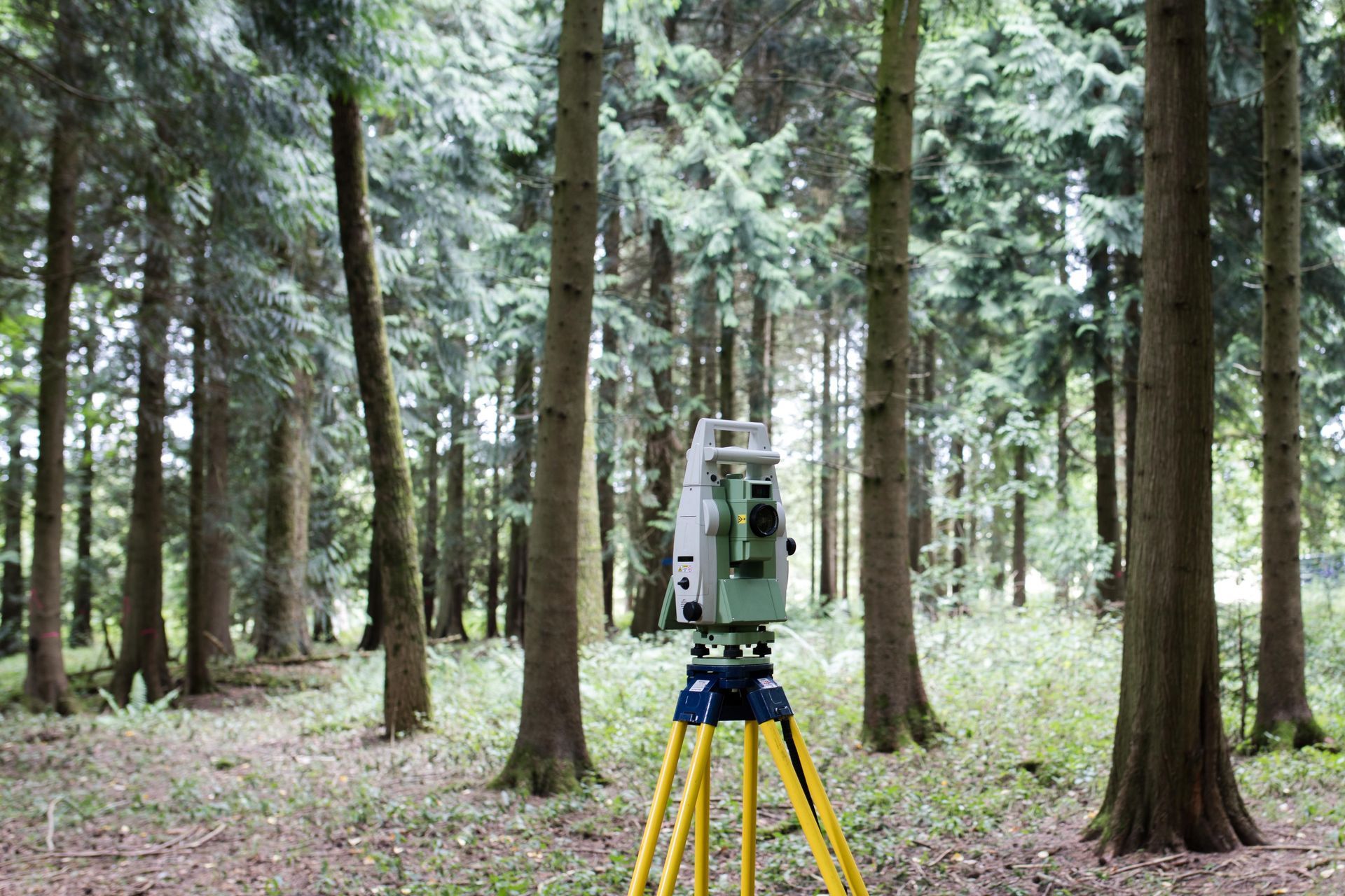 land surveyor