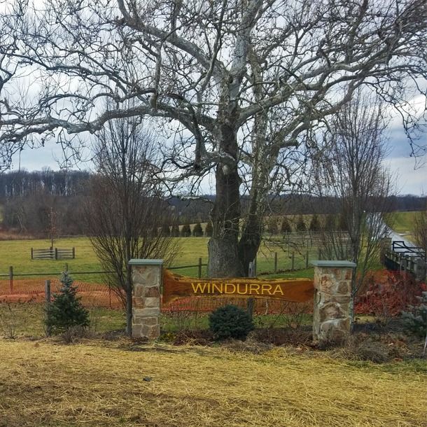 Windurra – Olympic Riding Facility