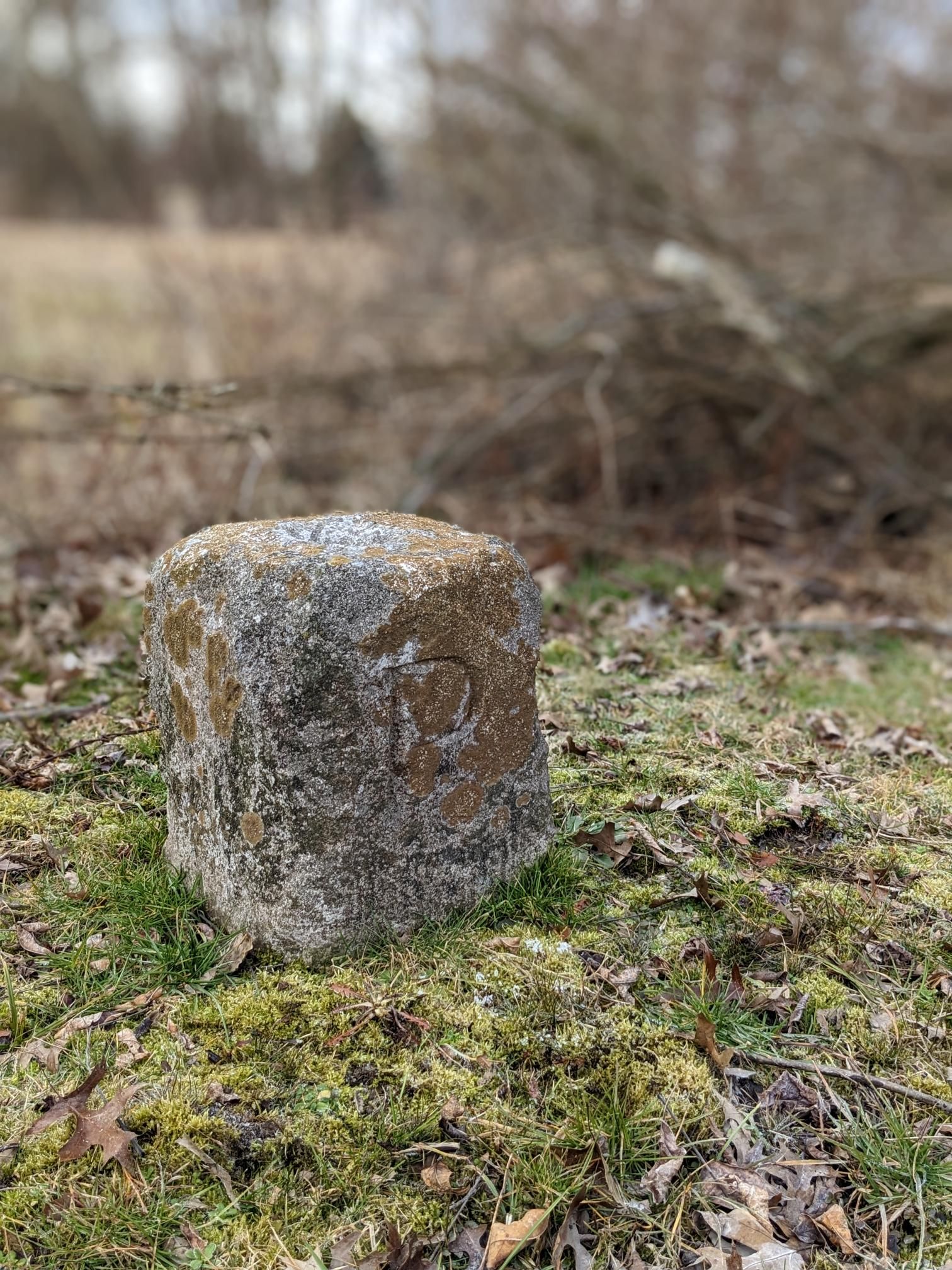 Stone marker with weathered surface, mossy base, in a field with blurred trees.