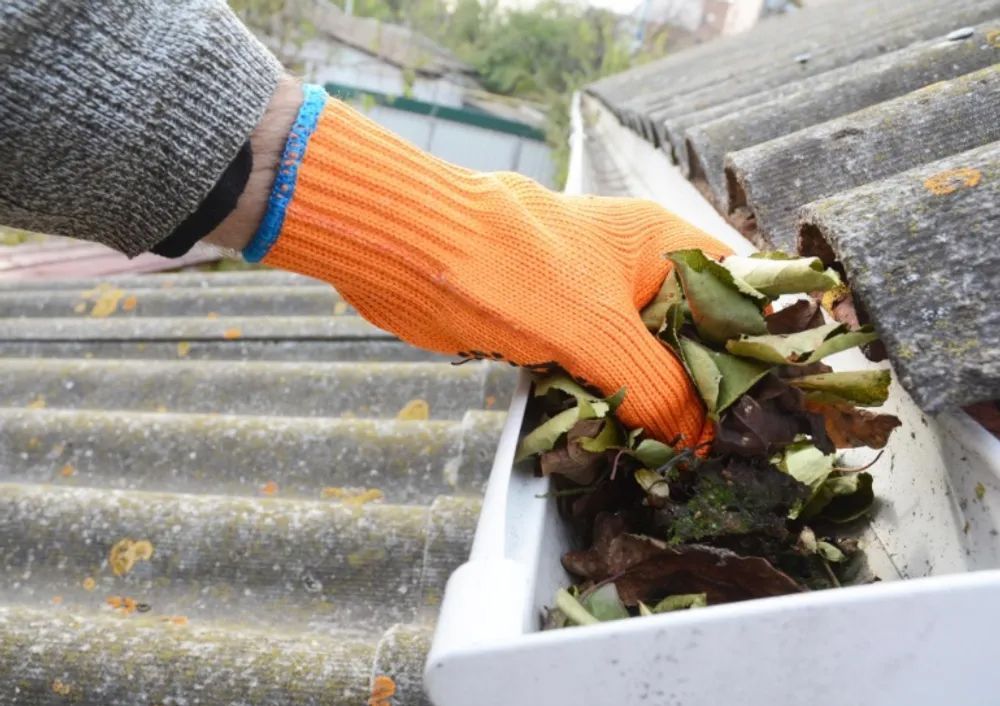 A person wearing orange gloves is cleaning a gutter with leaves.