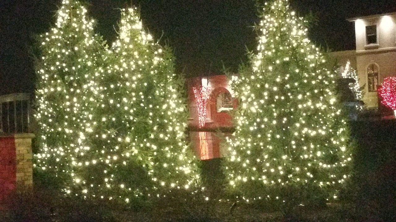 Christmas tree lighting