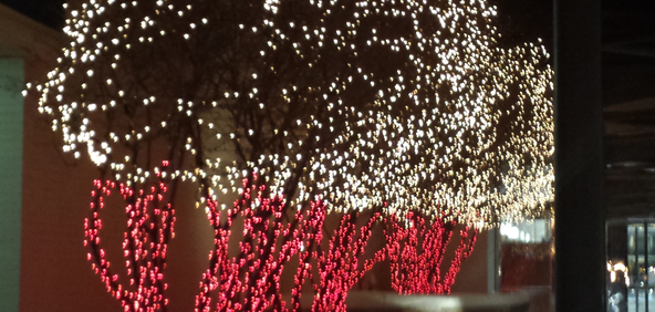 Christmas light decor