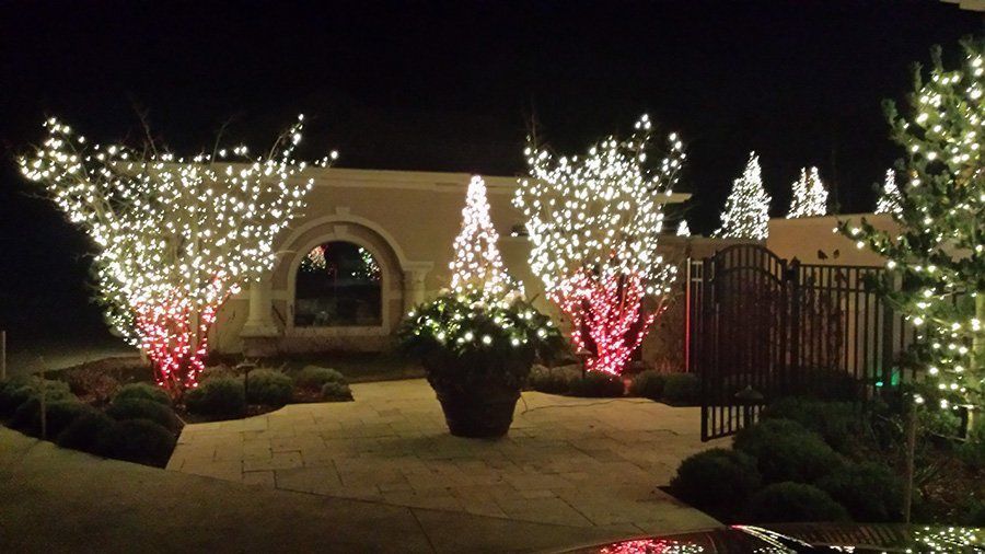 Christmas light decor