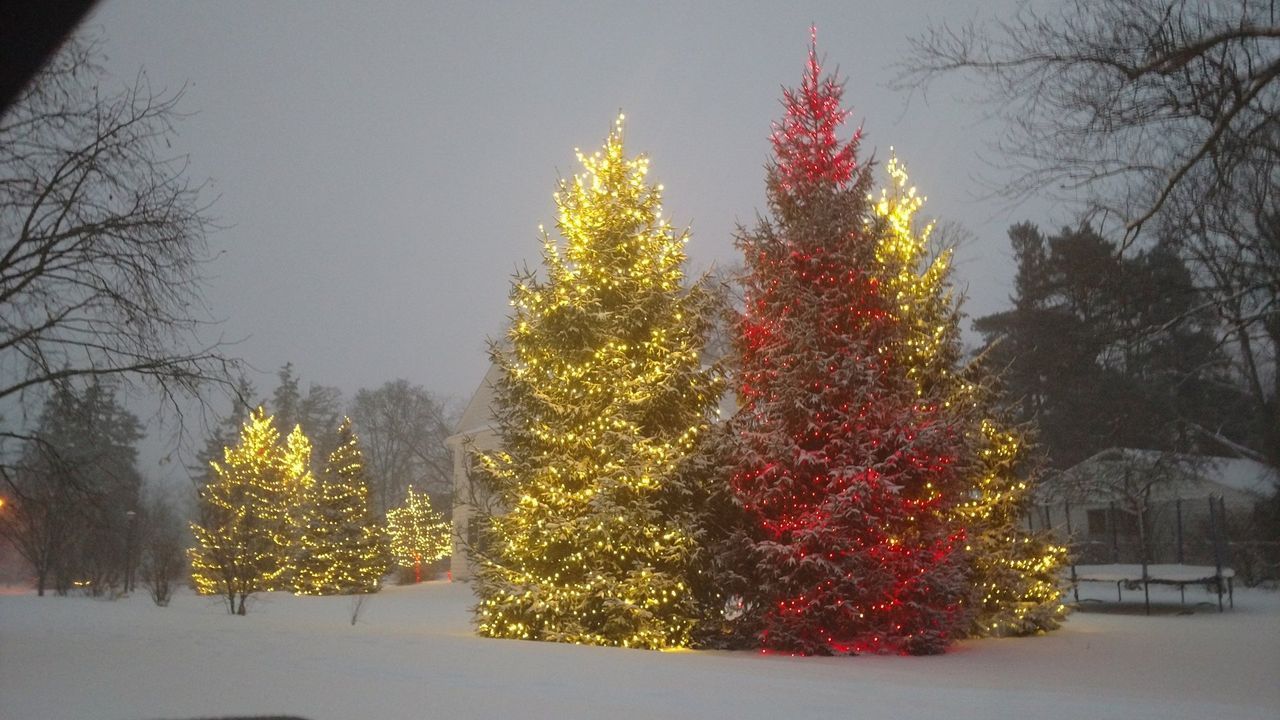 Christmas tree lighting