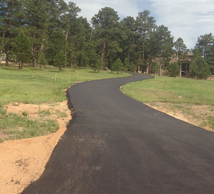 Paved, winding driveway through a grassy area, leading into a wooded area. Trees in the background, blue sky.