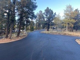 Paved road curves through a tree-lined area under a clear sky.