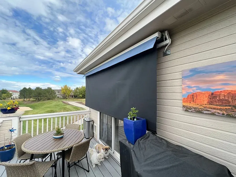 Patio with round table, two dogs, blue planter, and a black awning beside a house overlooking green fields