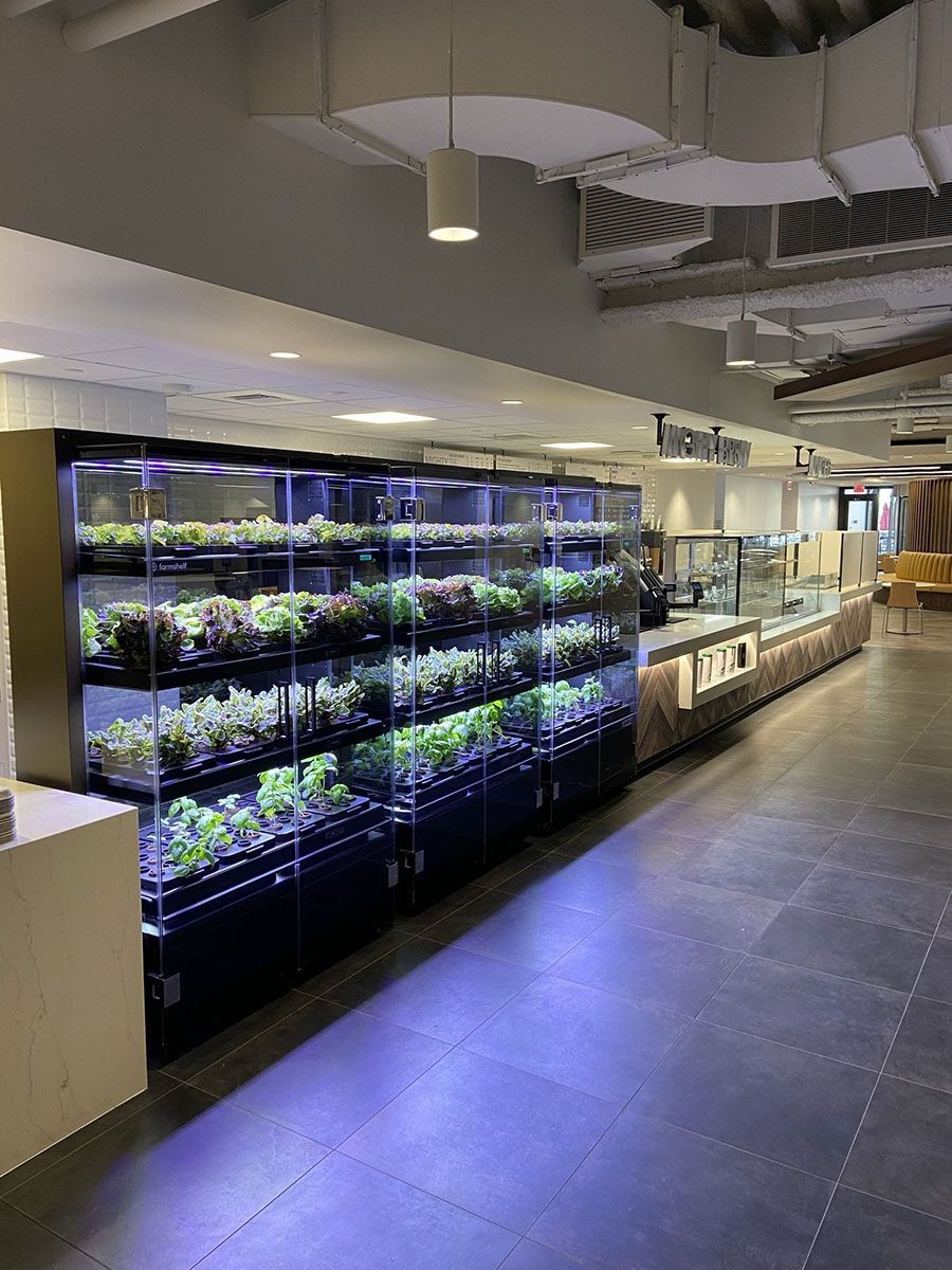 A long hallway with a lot of shelves filled with plants