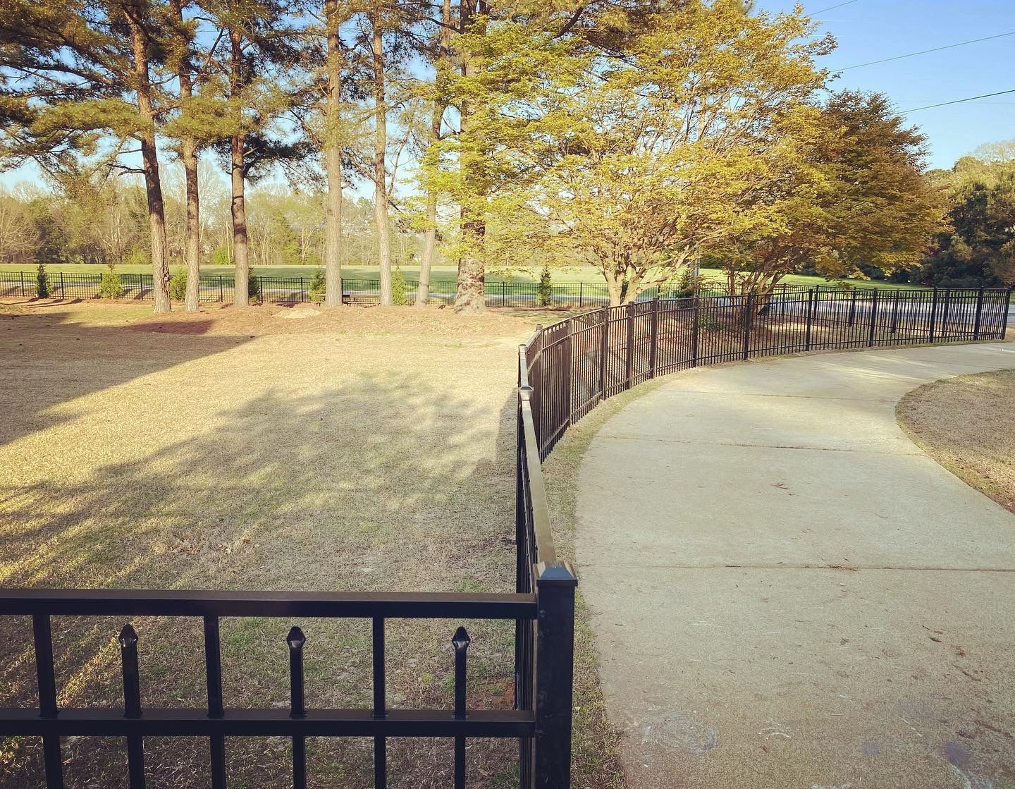A fence surrounds a path in a park with trees in the background.