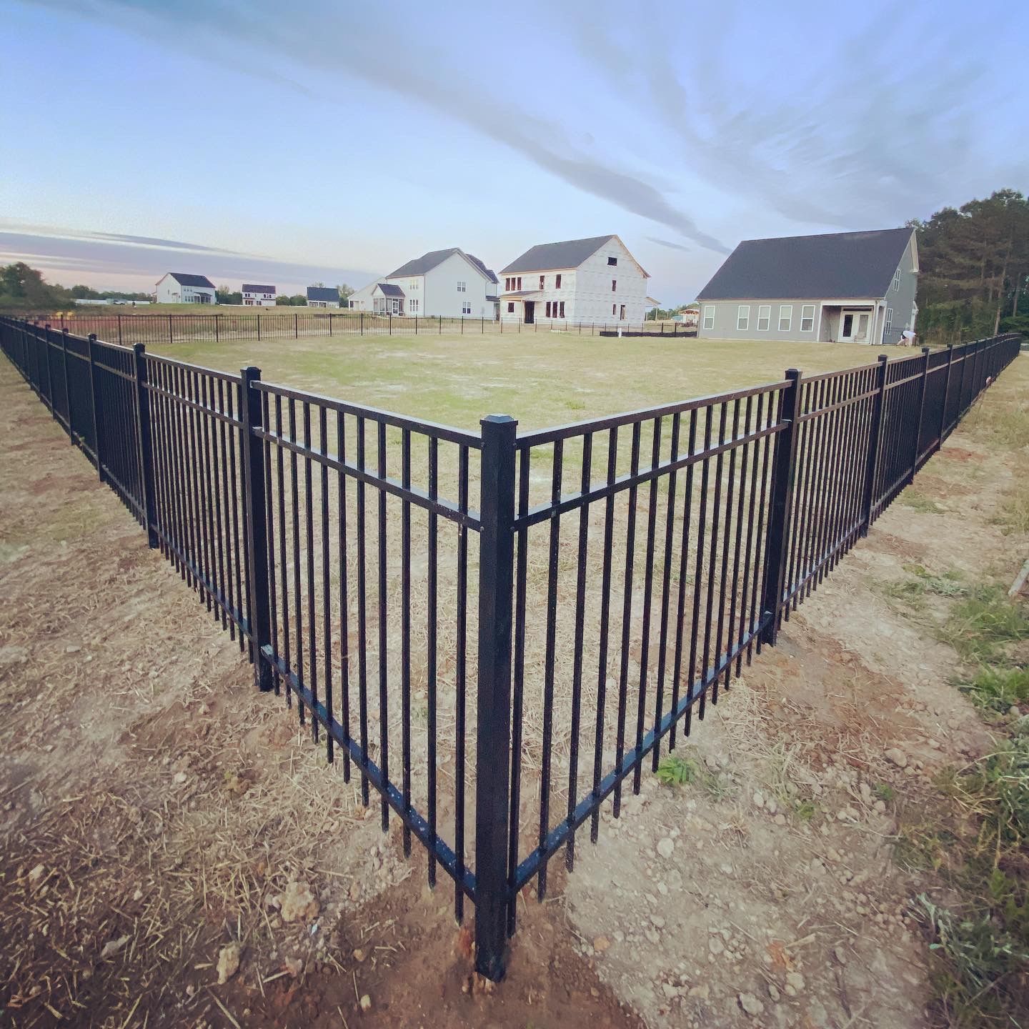 A black fence surrounds a field with houses in the background.