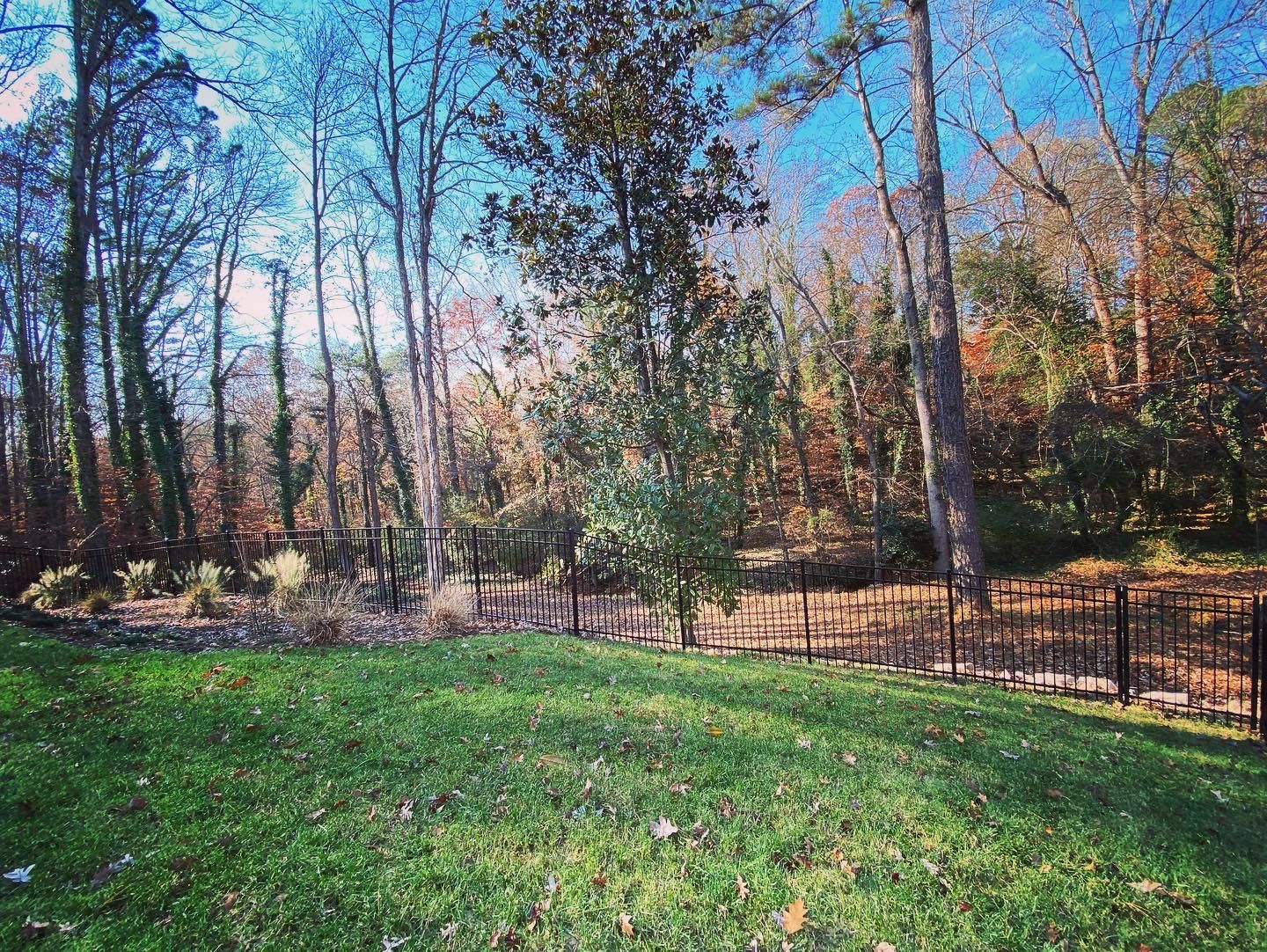 A backyard with a fence and trees in the background.