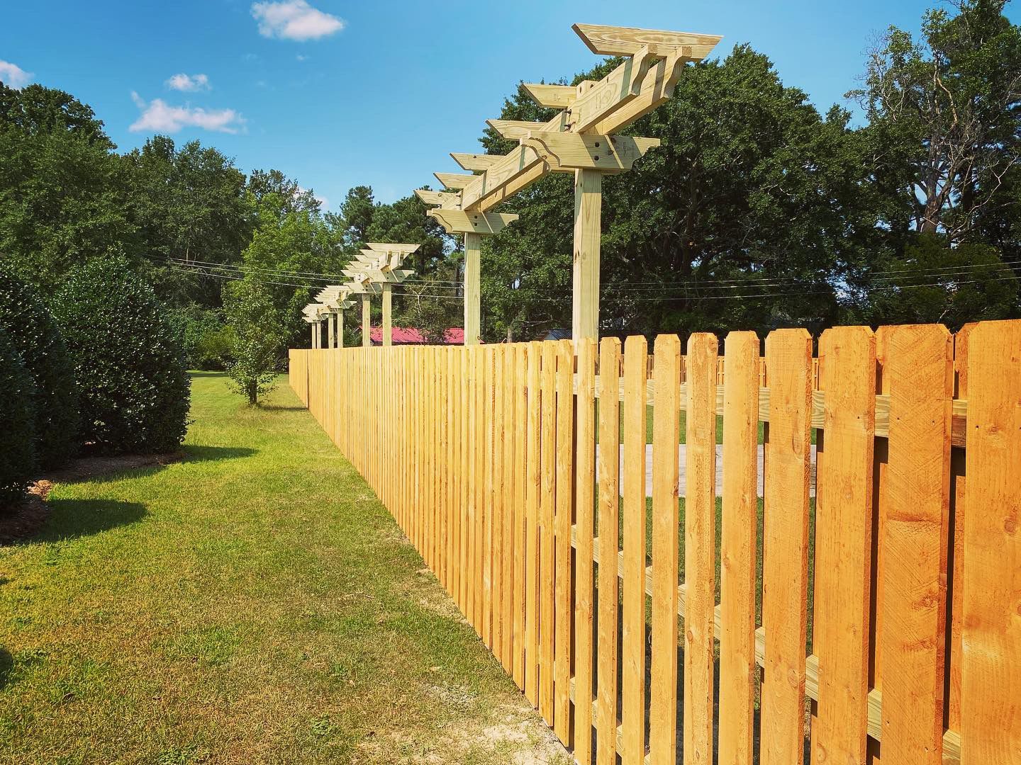 A wooden fence with a pergola on top of it in a yard.
